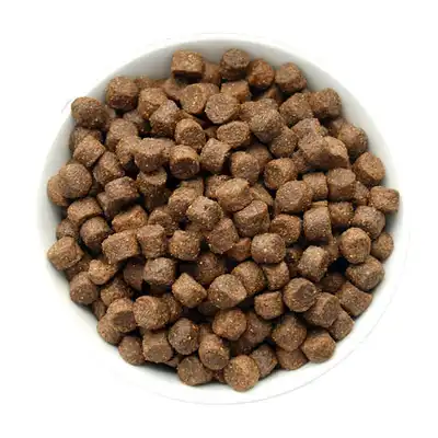 Canun Trabajo - 20kg