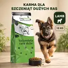 BIOFAKTOR DOGSHIELD SZCZENIĘTA DUŻE PSY JAGNIĘCINA 10kg