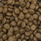 Tropidog Premium Wołowina+Ryż 8kg dla małych ras bez kurczaka