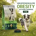 WETERYNARYJNA KARMA DOGSHILED Obesity dla psa 5kg