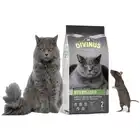 Divinus Complete Cat dla kotów wybrednych 2kg (1)