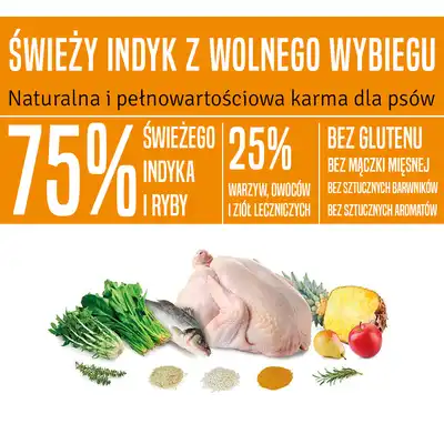 Arquivet Fresh indyk i ryba oceaniczna – składniki karmy