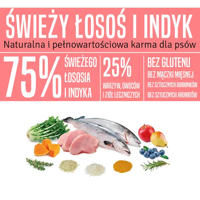 ARQUIVET FRESH KARMA DLA PSA ŁOSOŚ Z INDYKIEM 10 KG