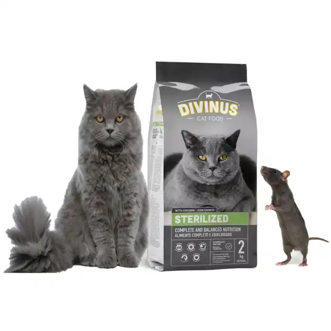 Divinus Complete Cat dla kotów wybrednych 2kg (1)