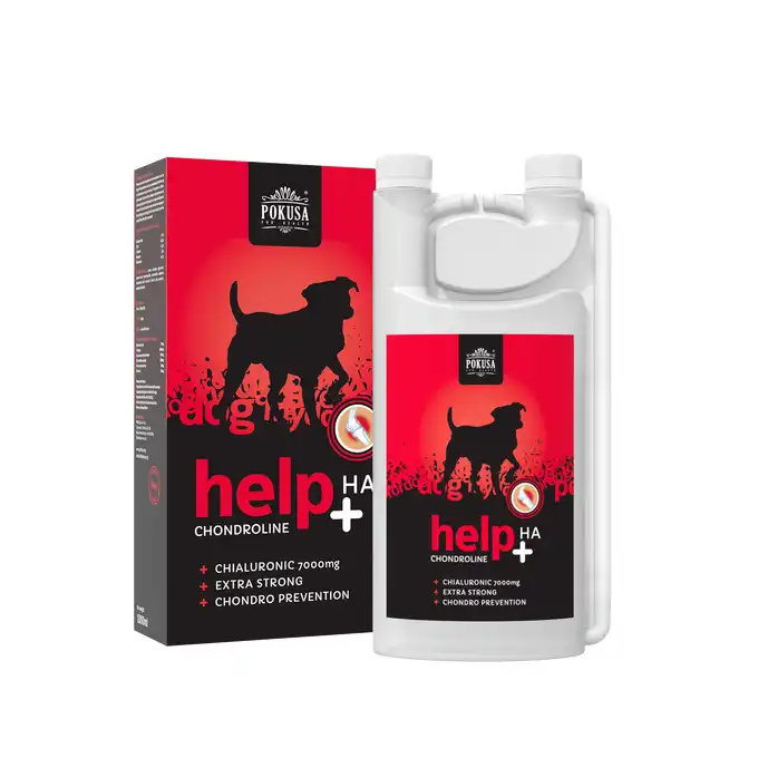 ChondroLine Junior+HA- preparat na stawy dla młodych psów 500 ml