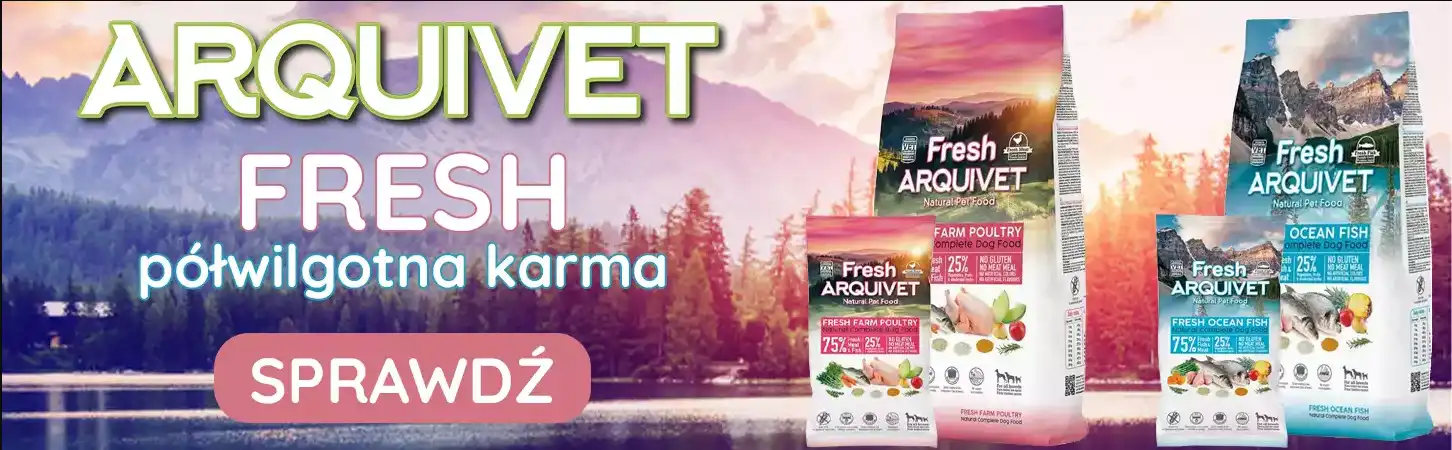 Arquivet Spiryt